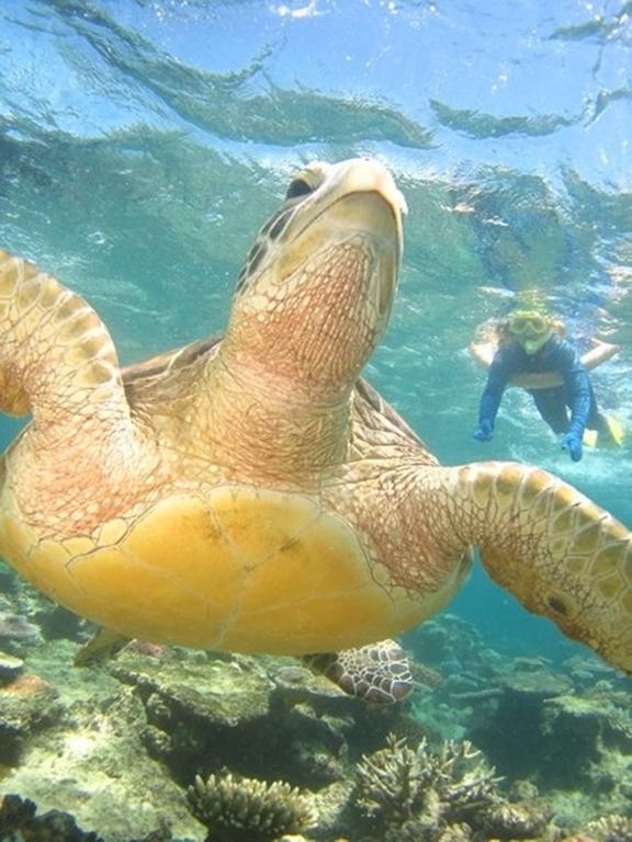Port Douglas Retreat Ngoại thất bức ảnh