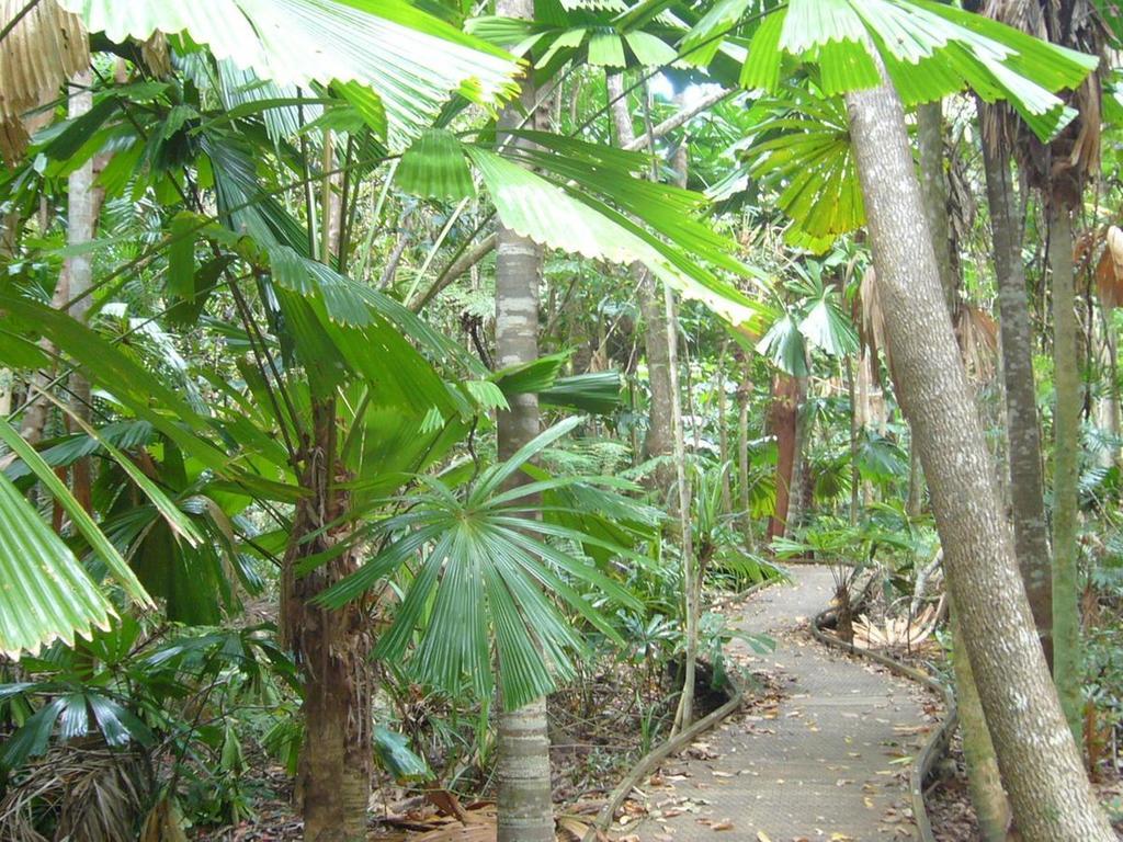 Port Douglas Retreat Ngoại thất bức ảnh