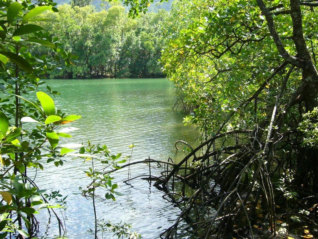 Port Douglas Retreat Ngoại thất bức ảnh